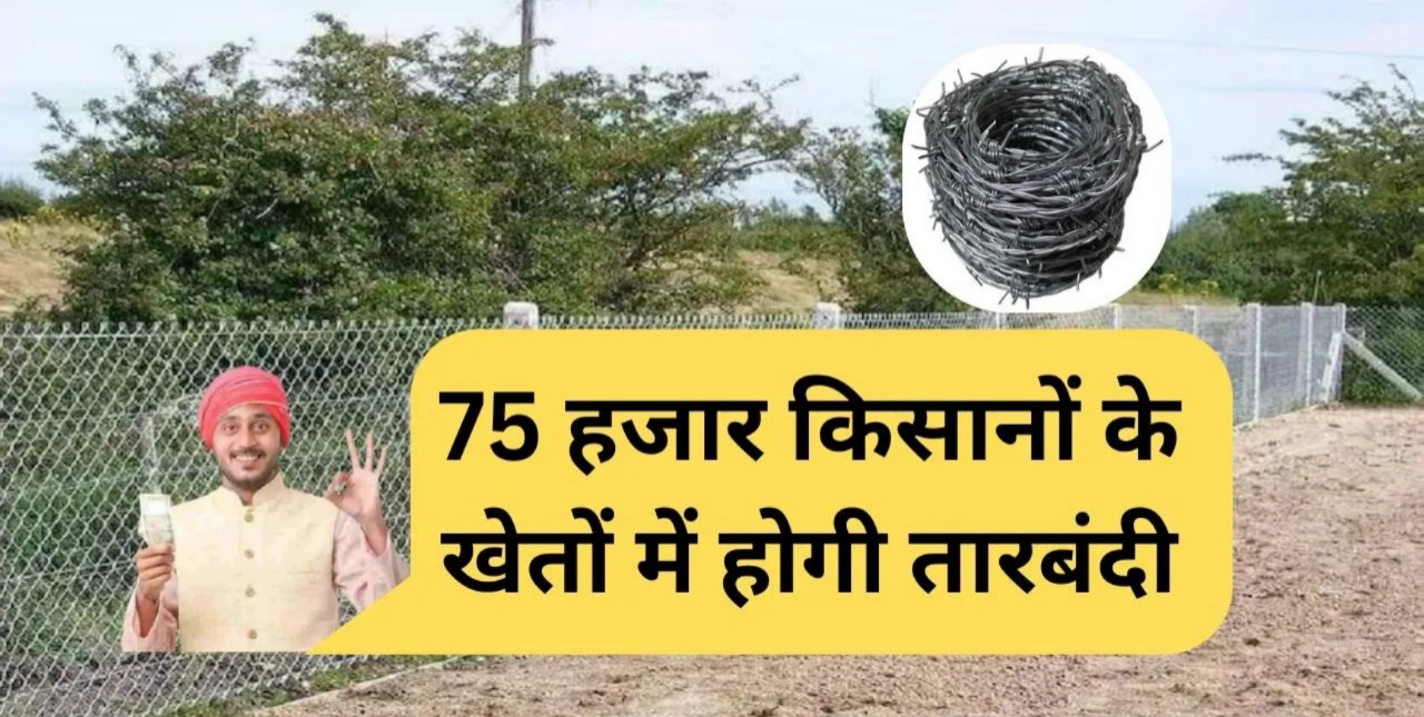 Tarbandi Yojana 2025 किसानों के लिए बड़ी सौगात! 75 हजार किसानो को तारबंदी पर मिलेगी सब्सिडी जाने प्रोसेस