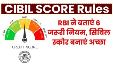 Cibil Score Rules Guidelines: RBI ने सिबिल स्कोर को लेकर लागू किये नए नियम, जानिए कौन होंगे पात्रता के हकदार
