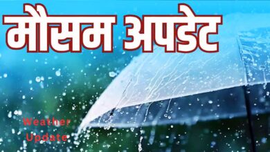 MP Weather Alert: मध्य प्रदेश में मानसून की जोरदार वापसी, अगले 3 दिन भारी बारिश की चेतावनी, कई जिलों के लिए अलर्ट जारी