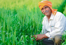 नोएडा